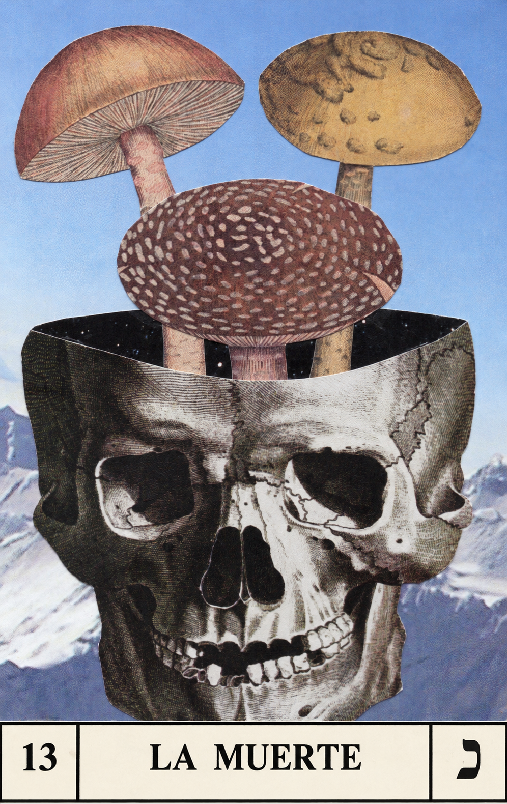 13. La Muerte
