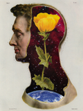 El universo florece