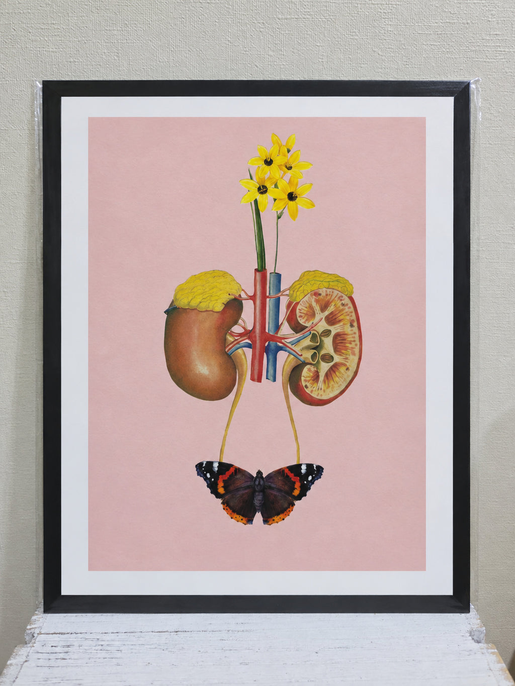 Anatomía de un renacer