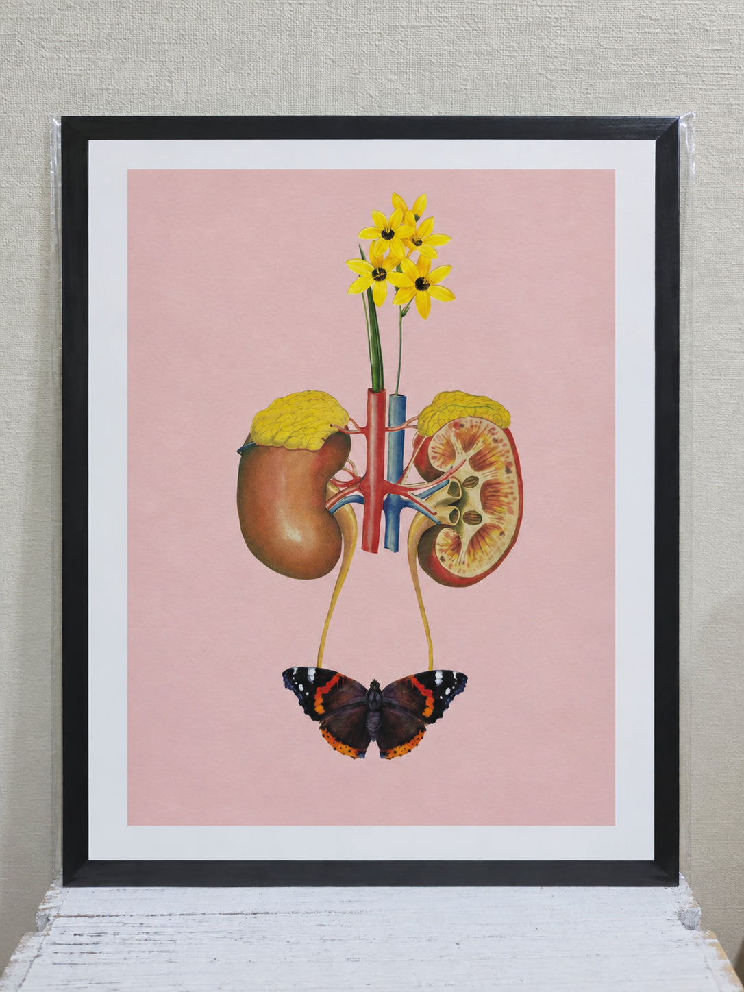 Anatomía de un renacer