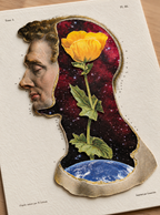 El universo florece