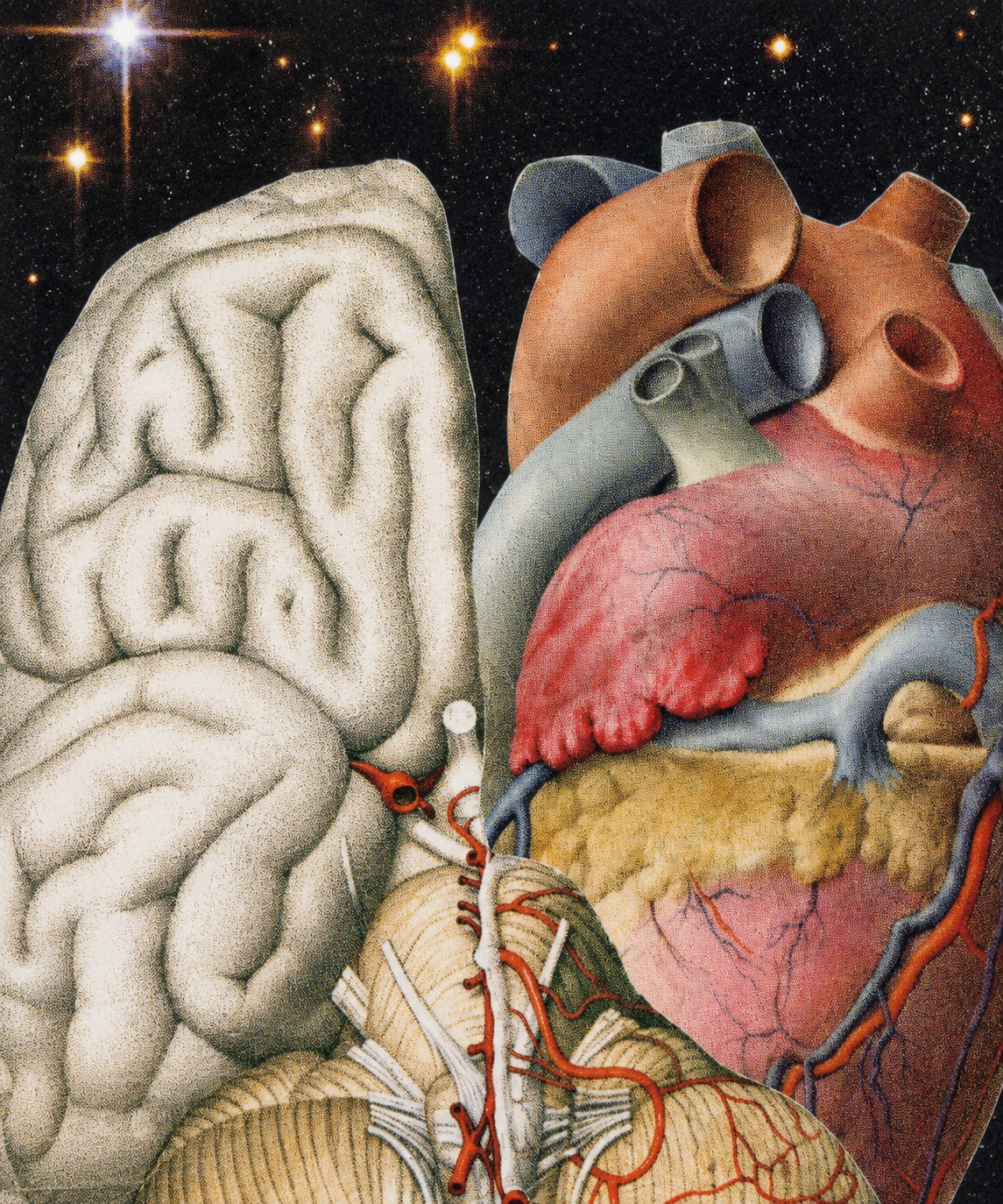 6. Los Amantes
