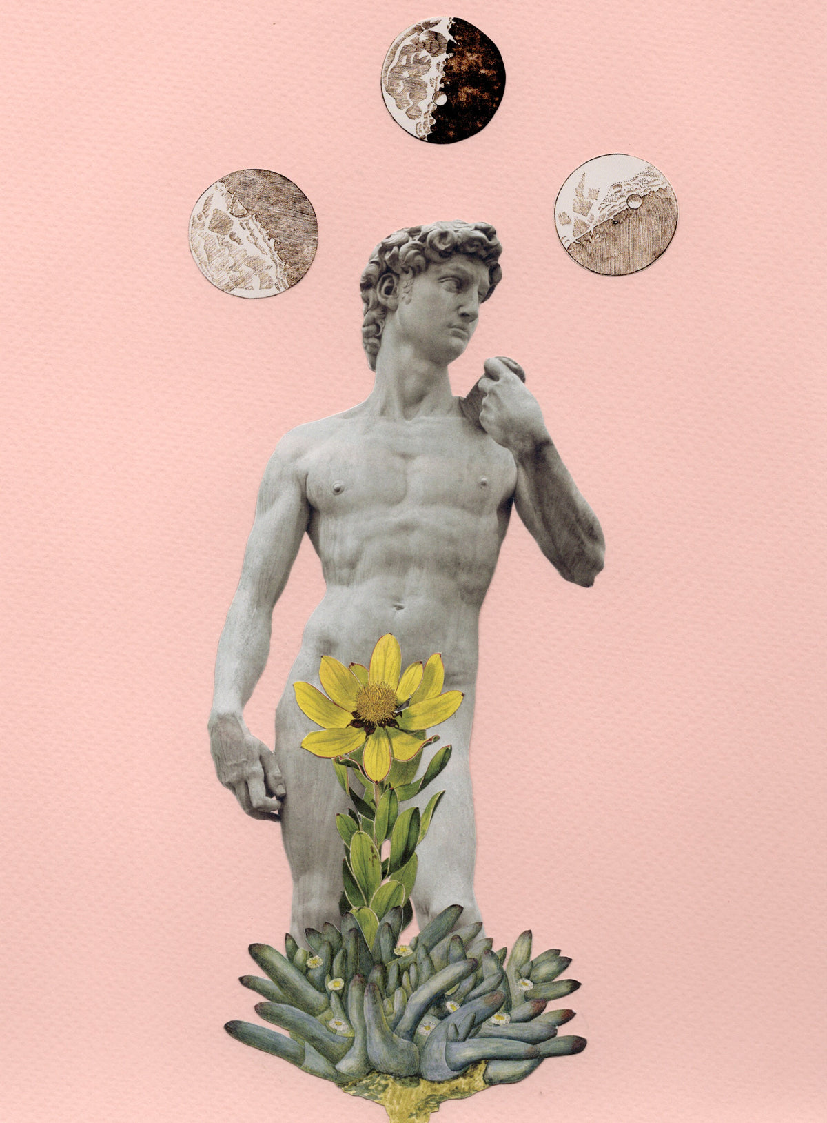 David florece