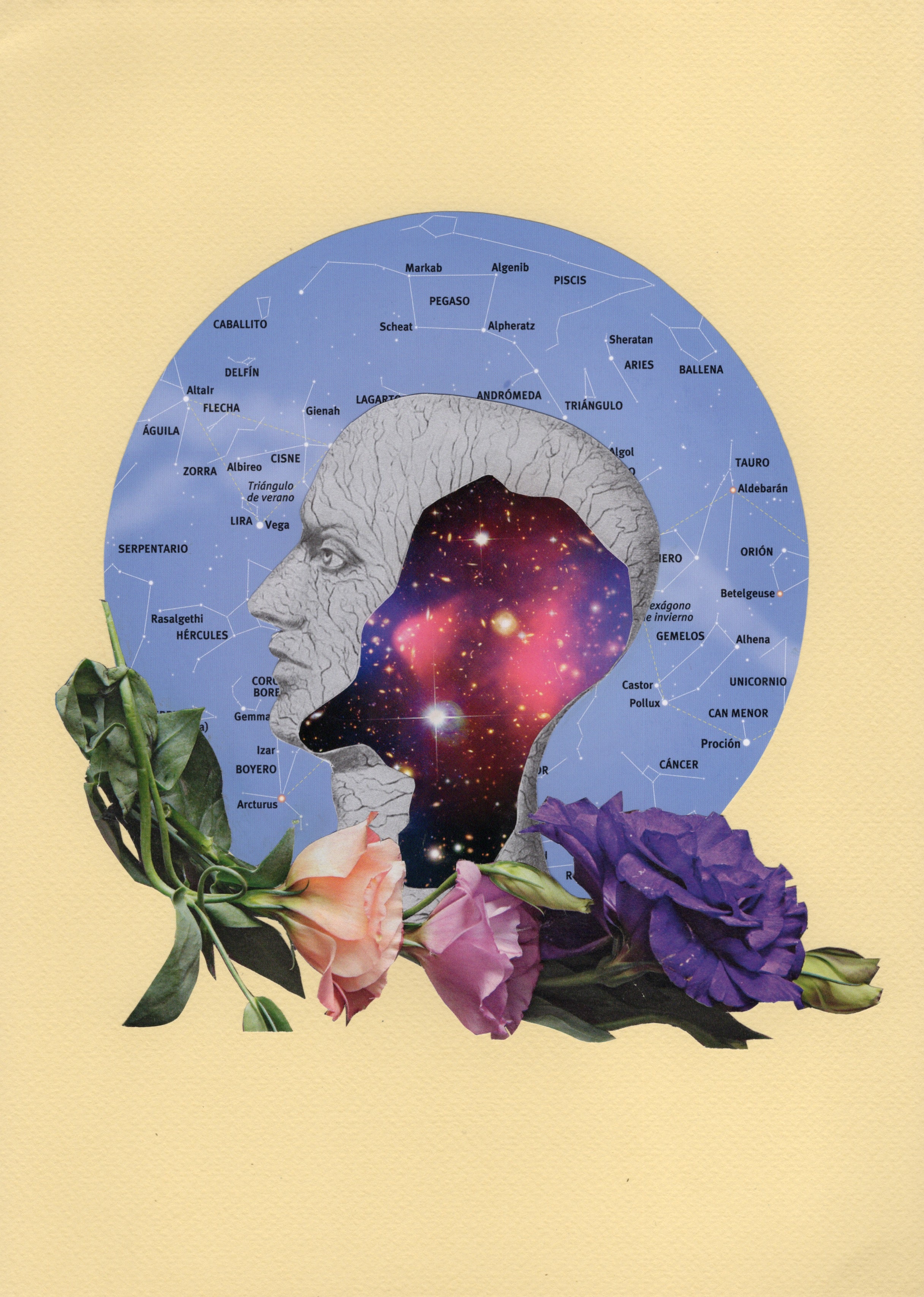 Materia de sueños