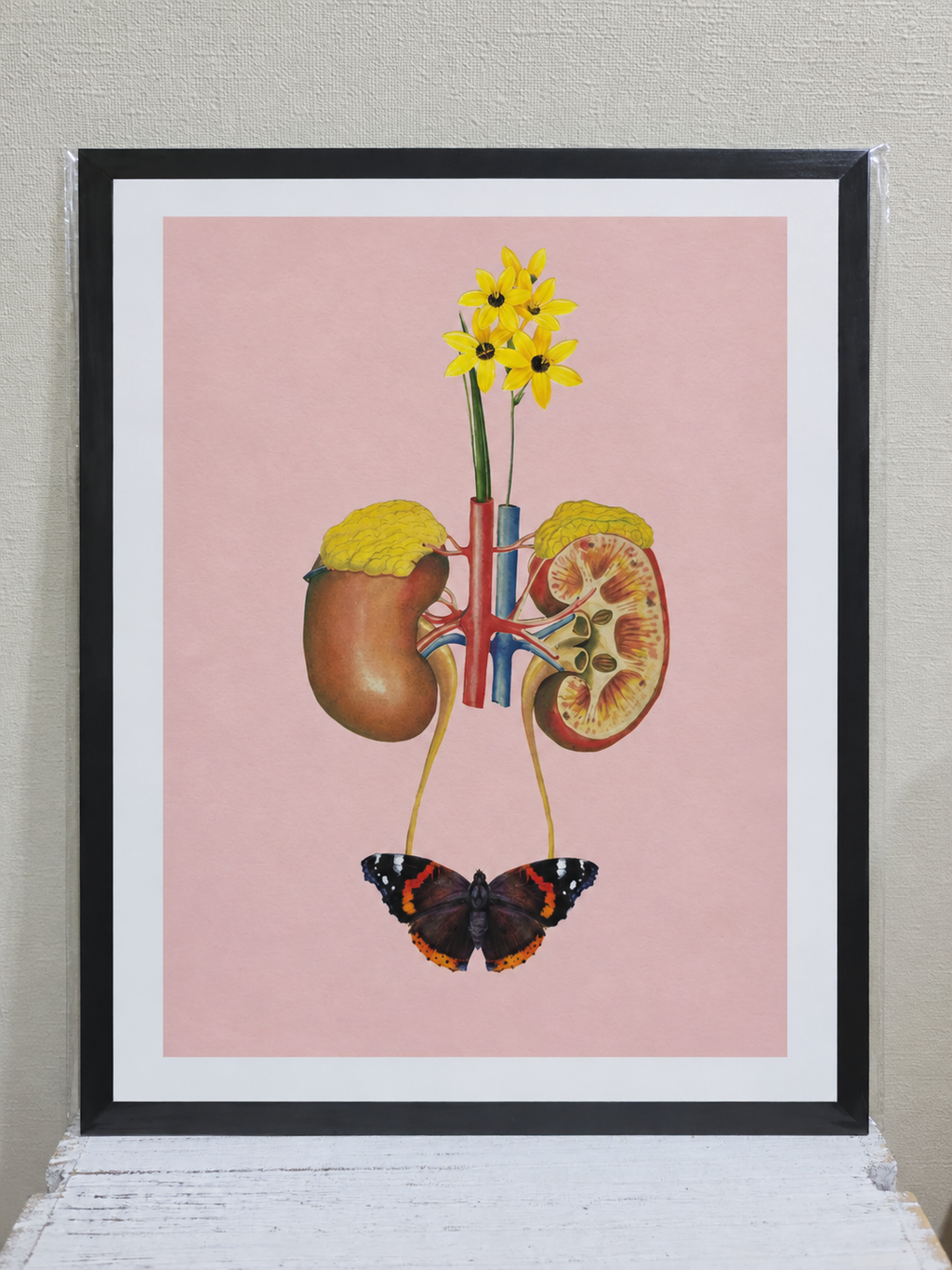 Anatomía de un renacer