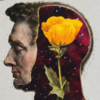 El universo florece