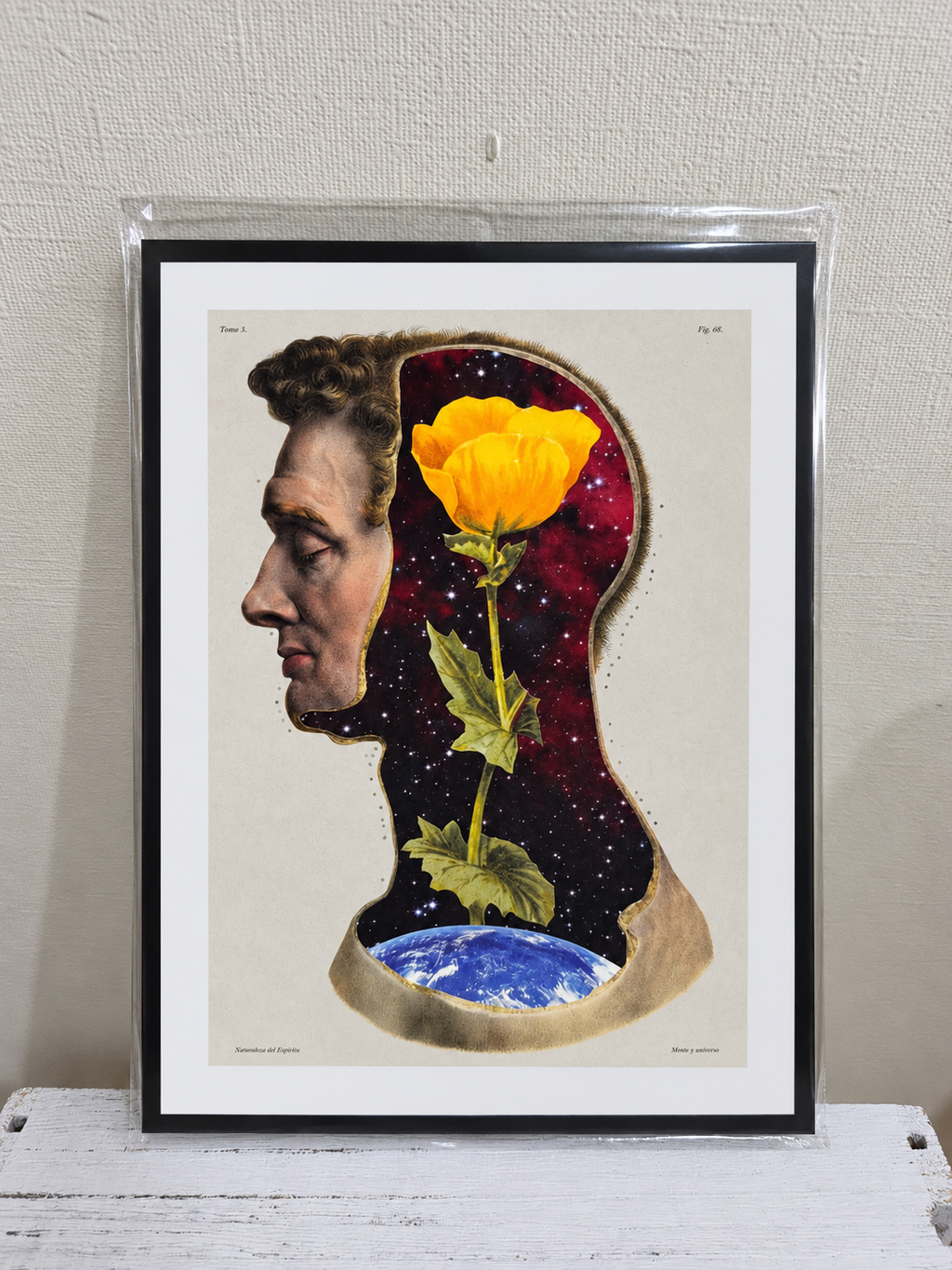 El universo florece