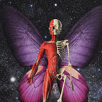 Metamorfosis cósmica