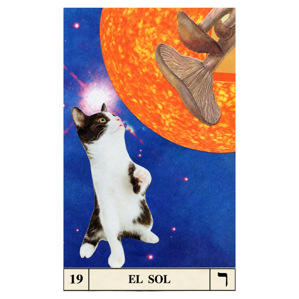 19. El Sol