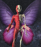 Metamorfosis cósmica